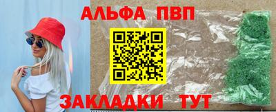 стаф Можга